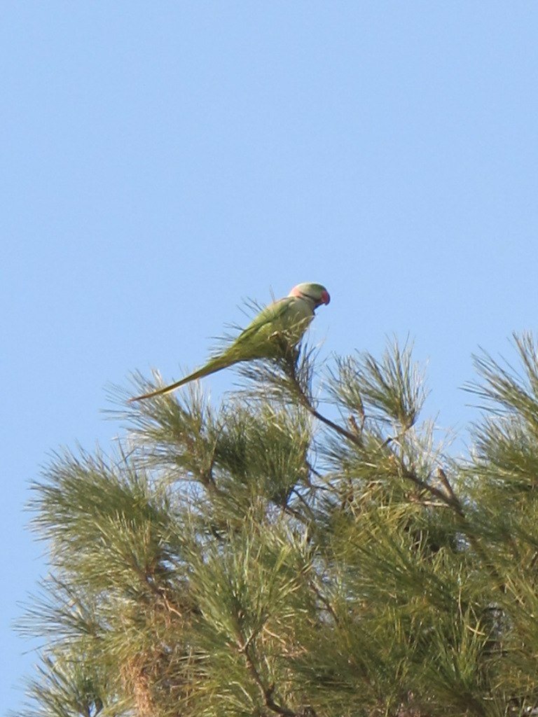 Мария Кузнецова Вареньевна | Москва