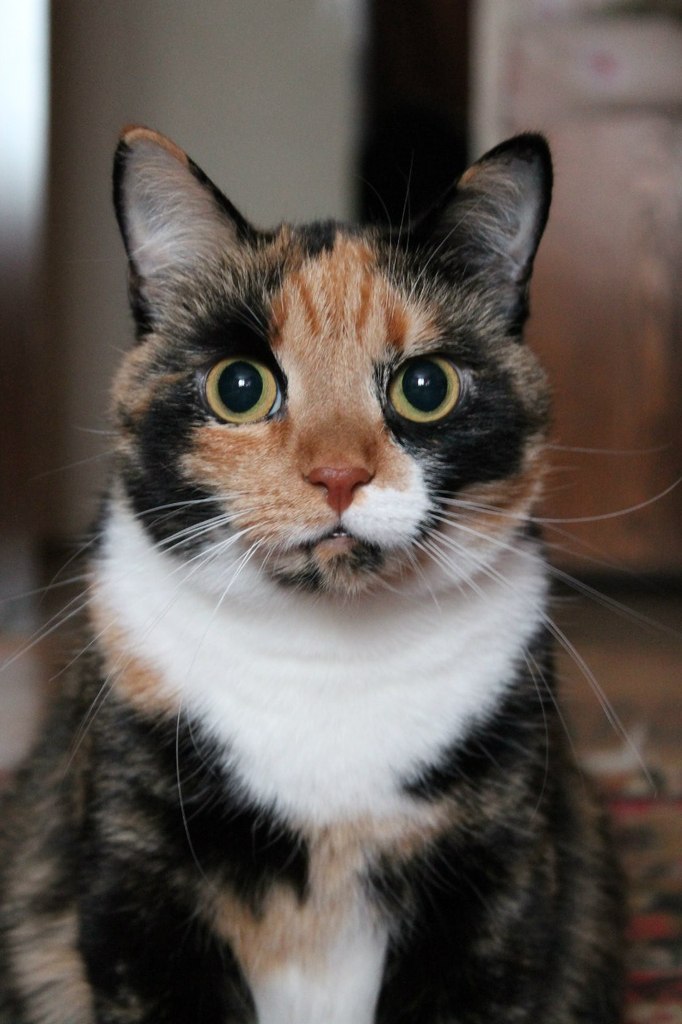 Александра Порада | Санкт-Петербург