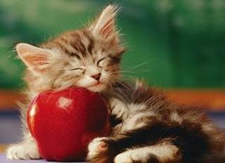 Евгения Карташева | Москва