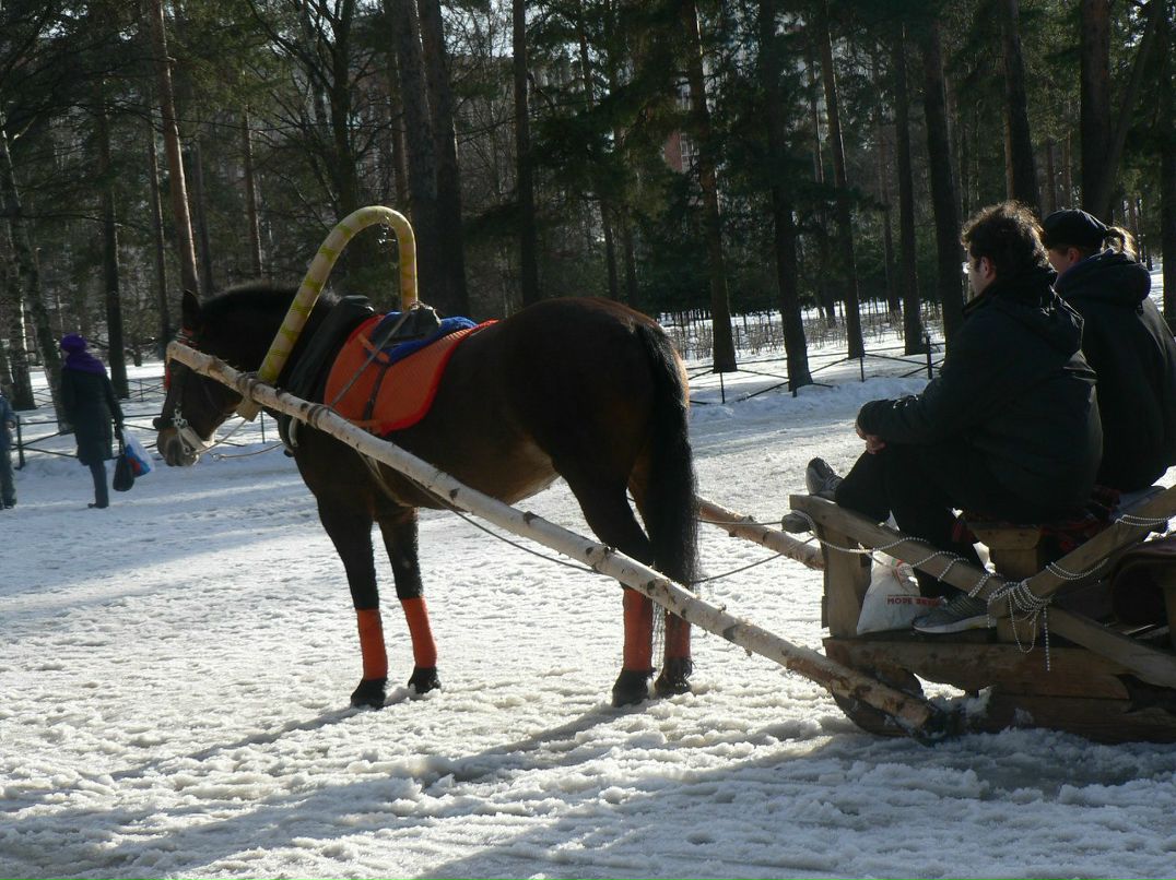 Ольга Петрова | Санкт-Петербург