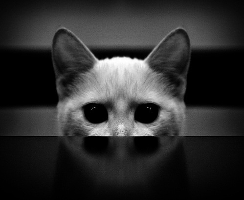 №159, Ксюша Вишнякова, 36 лет, Краснодар, Россия №159, Ксюша Вишнякова, 36 лет, Краснодар, Россия