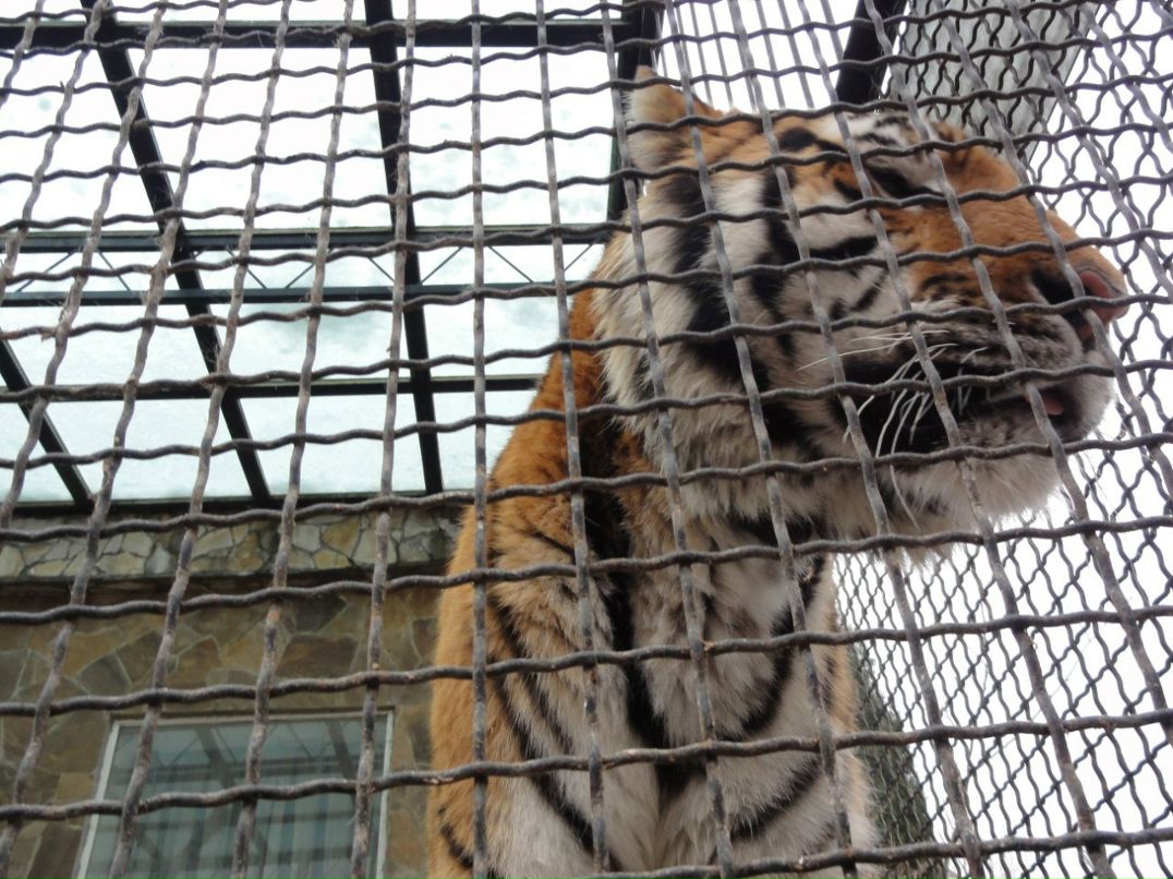 Евгения Левченко | Севастополь