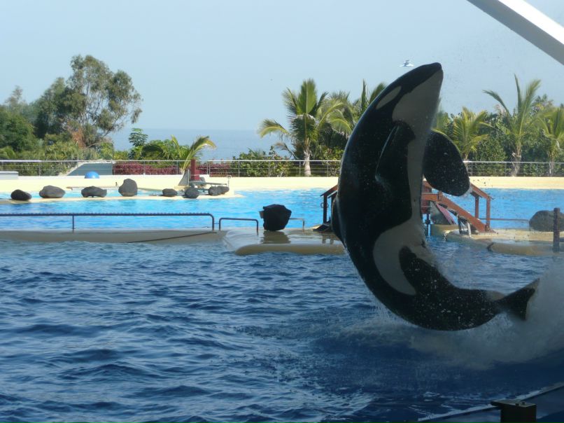 Слава Ткаченко | Санкт-Петербург