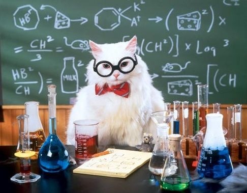 №16, Юрий Мельничук, 38 лет №16, Юрий Мельничук, 38 лет