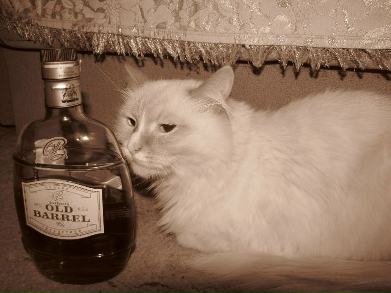 Елизавета Исмакаева | Тюмень