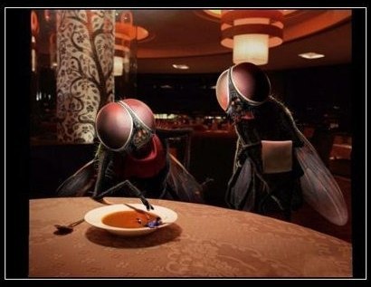 Роман Фокин | Киров