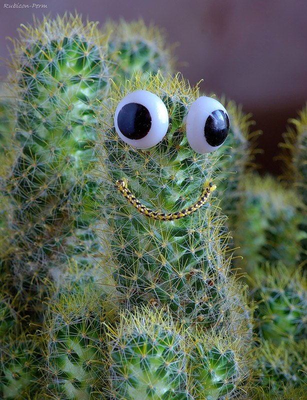 Елена Кириченко Lenka | Port-au-Prince