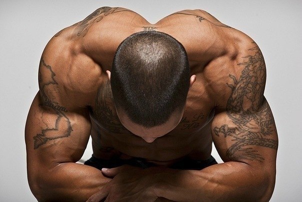 Роман Ермилов | Краснодар