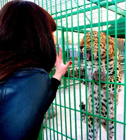 Анютка Лукьянова ♛ | Барнаул