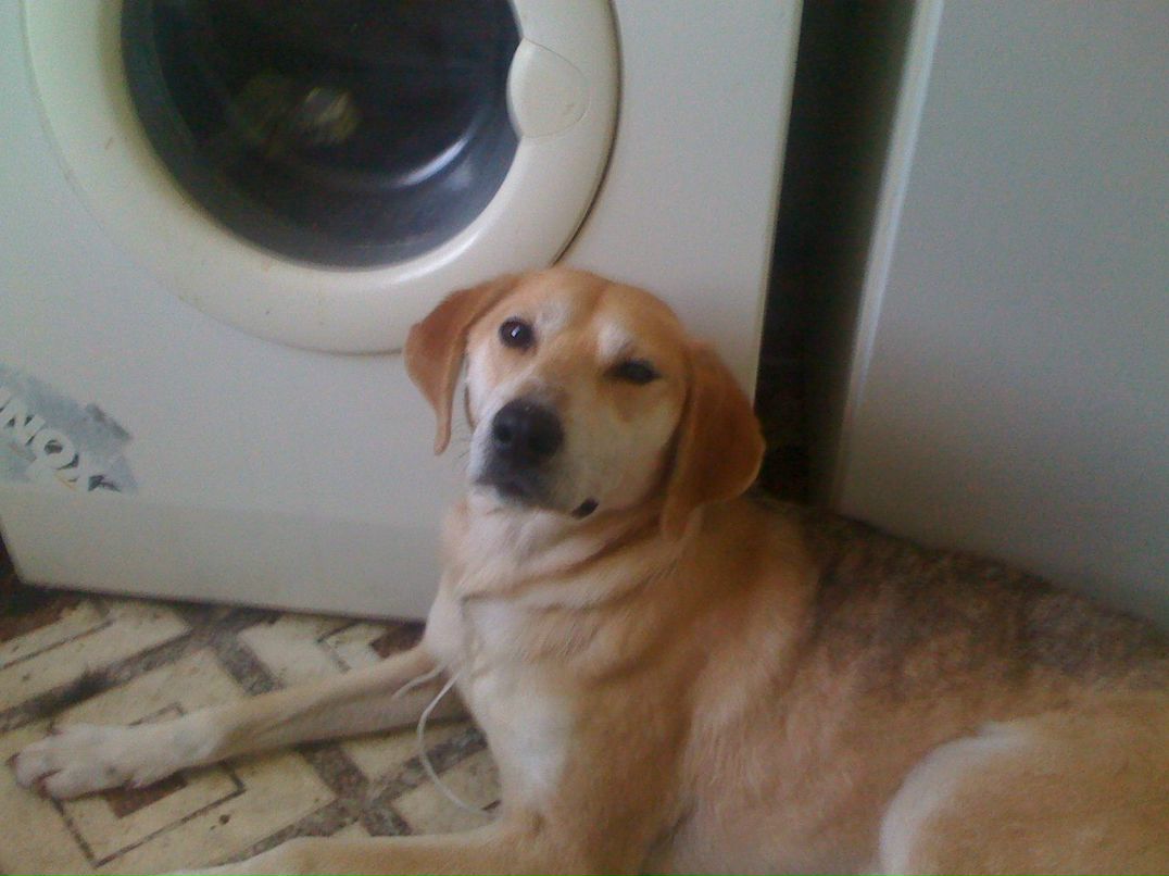 Татьяна Секачёва | Гатчина