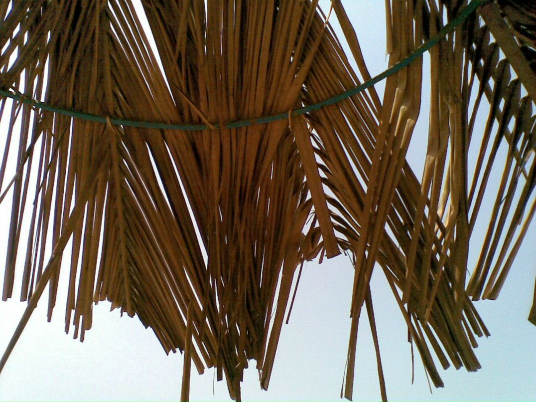 Александра Сашнева | Москва