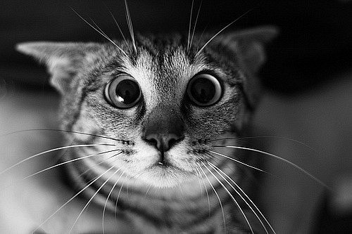 Рома Титаренко | Харьков