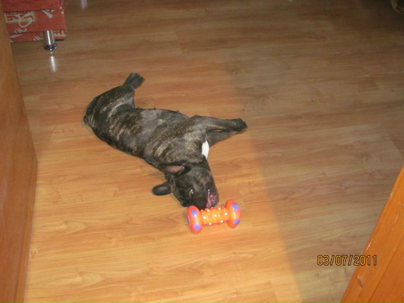 Наталья Долотова | Рыбинск