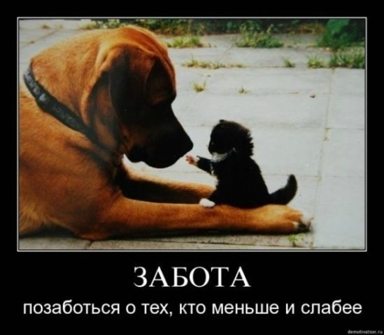 Елена Ефимова | Петрозаводск