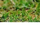 №171, Яна Золотухина, Котлас №171, Яна Золотухина, Котлас