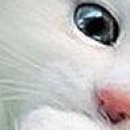 №56, Яна Золотухина, Котлас №56, Яна Золотухина, Котлас