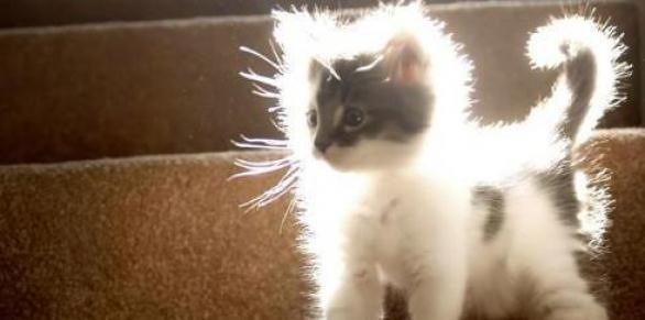 №24, Ольга Мокшанова, Рязань №24, Ольга Мокшанова, Рязань