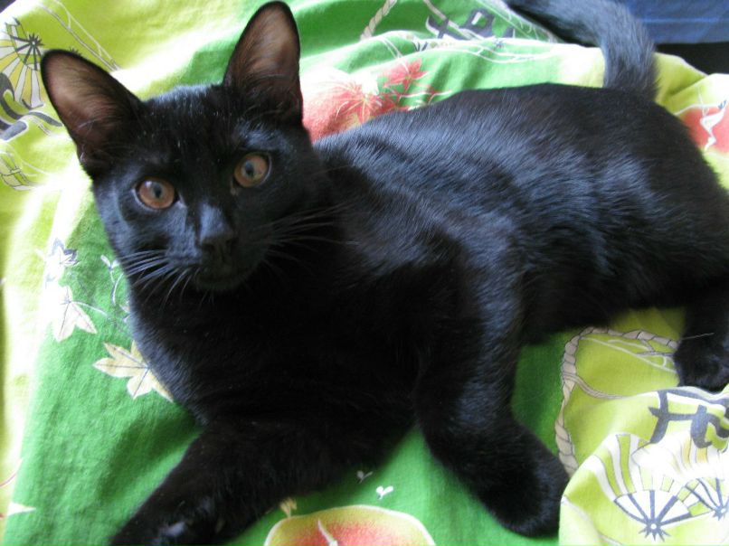 Svet Lana | Костомукша