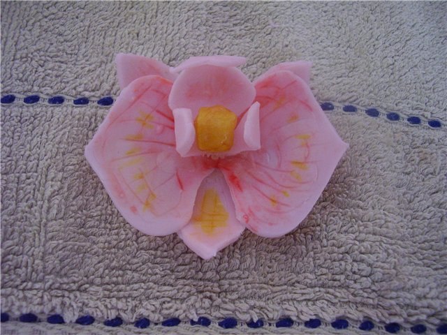 Nikita Levchyk | Los Angeles