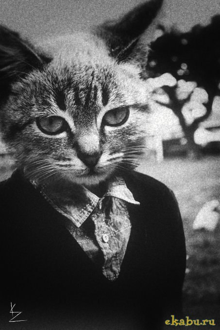 Иван Доркин | Москва