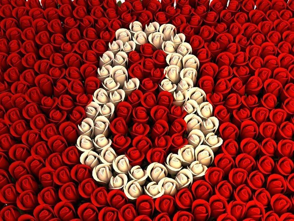 Алексей Кузнецов | Щекино (деревня)