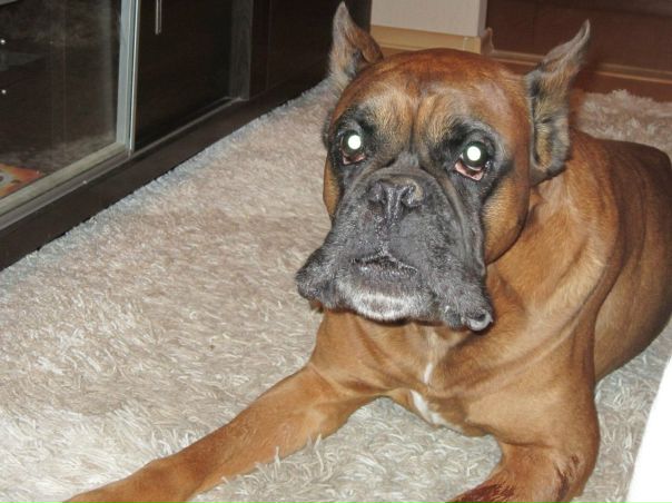 №118, Никита Шаршун, Минск №118, Никита Шаршун, Минск