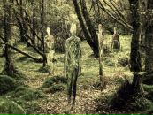 №37 Кирилл Соломонов 31.01.1984: профиль, фото, статус - ВКонтакте