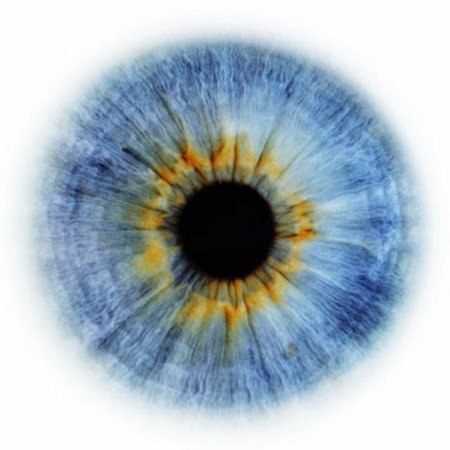 Людка Петровичъ | 