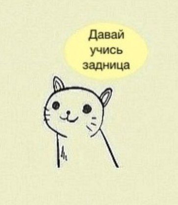 Марина Долматова | Красноярск