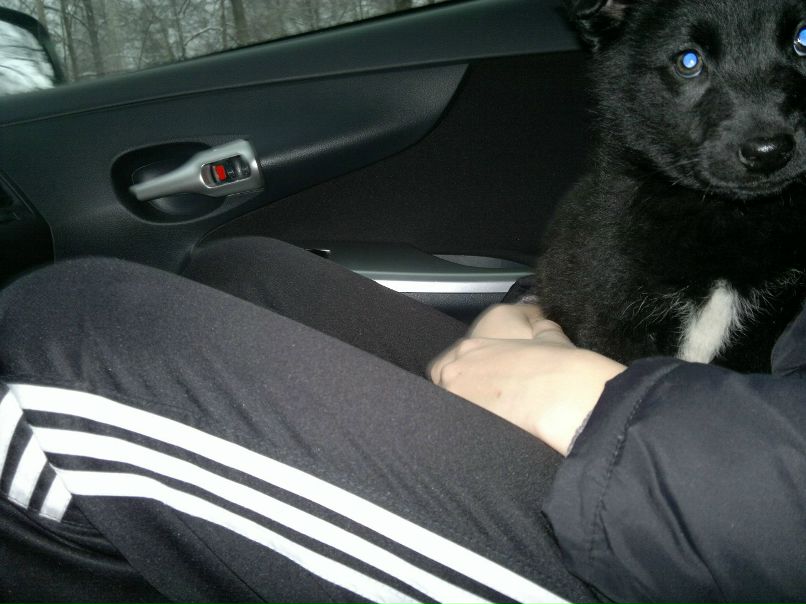 Максим Егоров | Казань