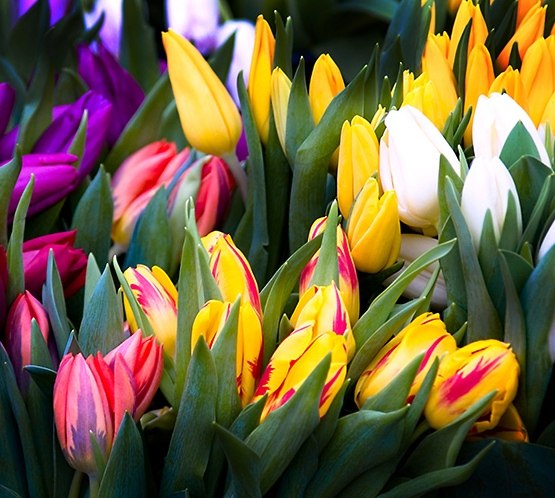 Rodion Palienko | Каменское / Днепродзержинск