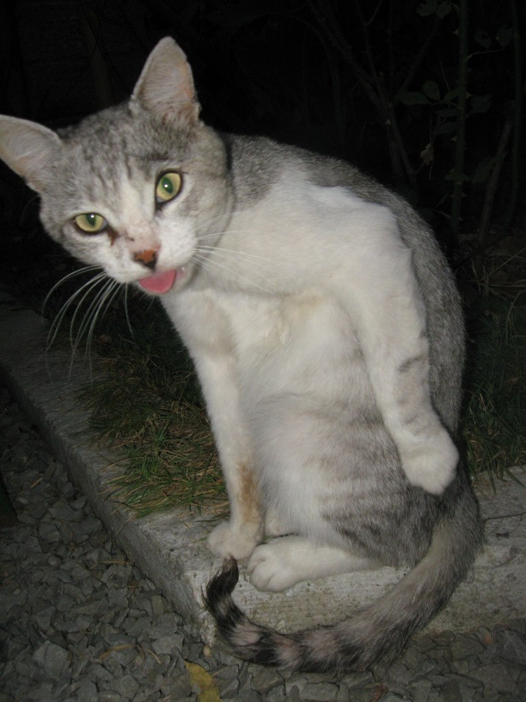 Игорь Турусов | Нижний Новгород