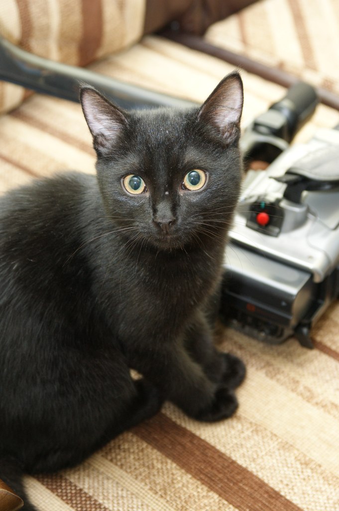 Гузель Родионова | 