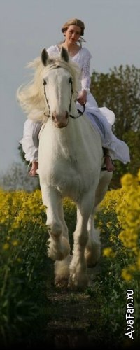 Анастасия Хохрякова | Симферополь