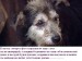 Вероника Μакарова фотография #15