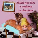Фотография Пименова Николая