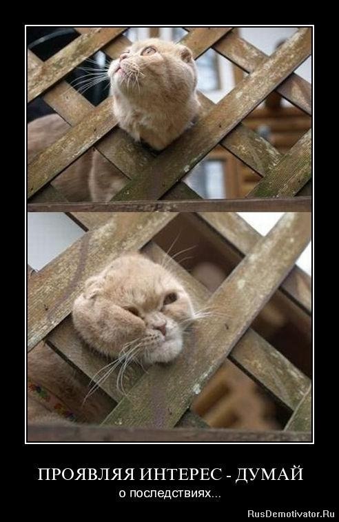 Анна Манохина | 