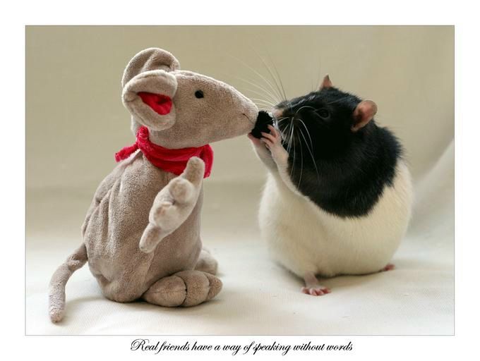 №71, Ирина Сальникова, 34 года, Киев №71, Ирина Сальникова, 34 года, Киев