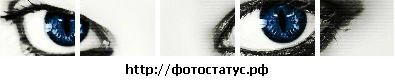 Фотография Дарья Афонина