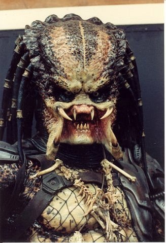 Дмитрий Пушкарёв | Калининград