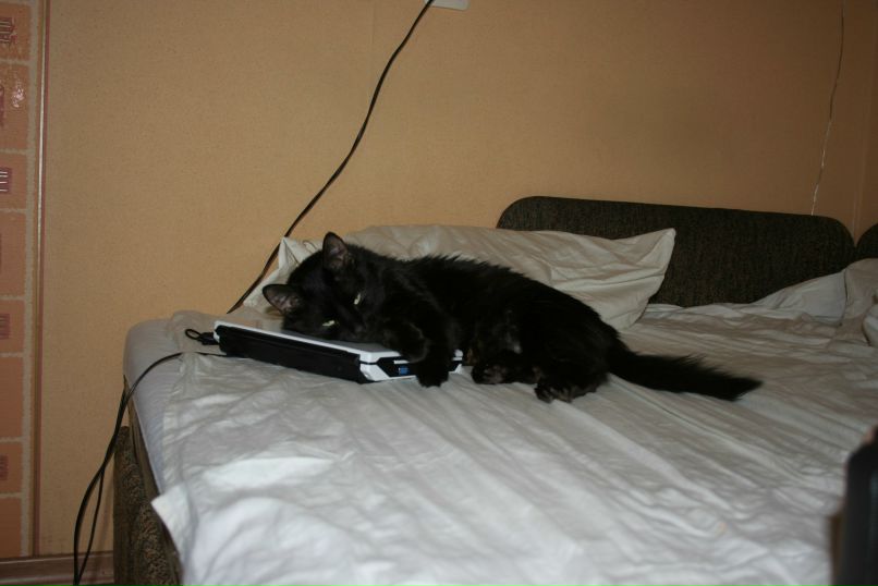 Сергей Пономарев Алексеевич | Брянск