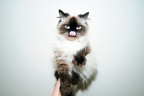 Оксана Лисицына | Ростов-на-Дону