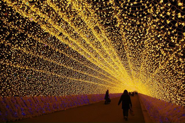 №85, Анютка Коваленко №85, Анютка Коваленко