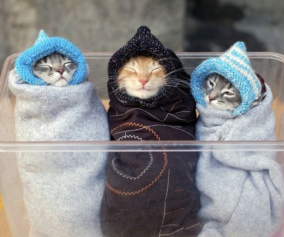 Татьяна Корсакова | Санкт-Петербург