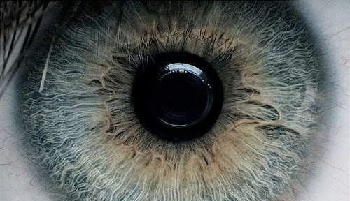 №1, Иван Щеглов №1, Иван Щеглов