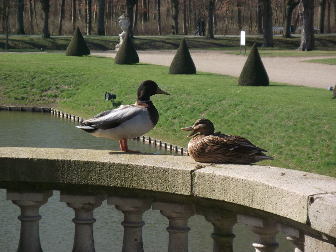 Марина Ужегова | Münster