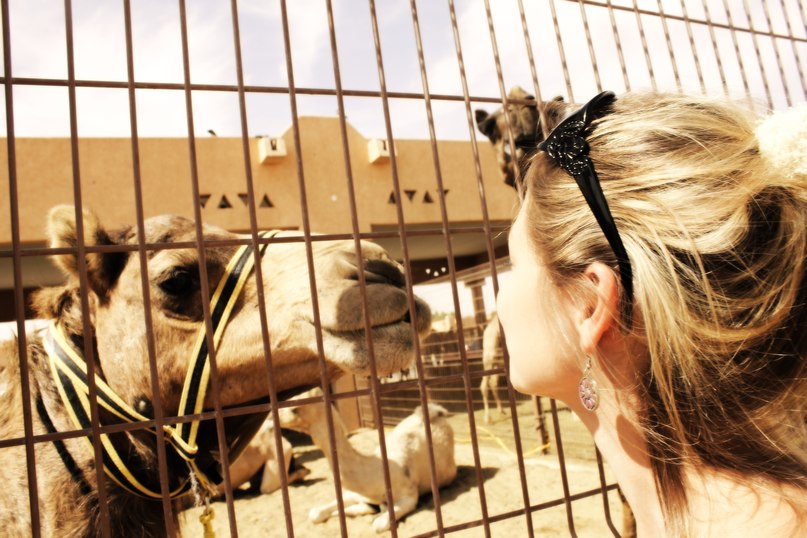 Olga Bogdanova | Санкт-Петербург