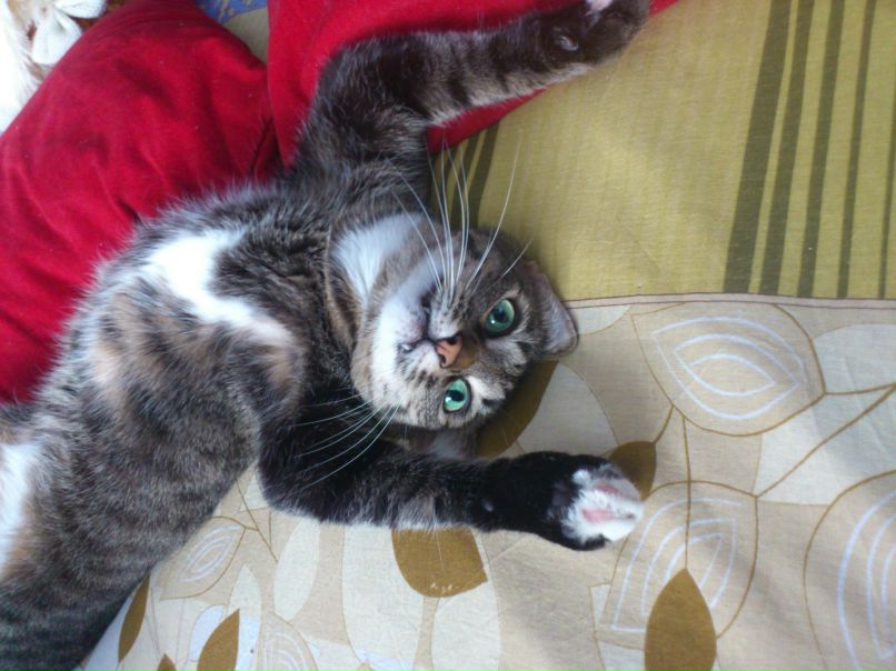 Аида Гаянова | Казань