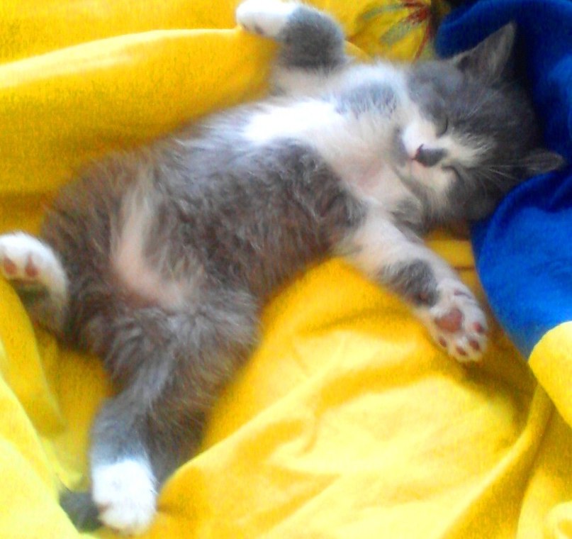 Ксения Кармаш | Барнаул