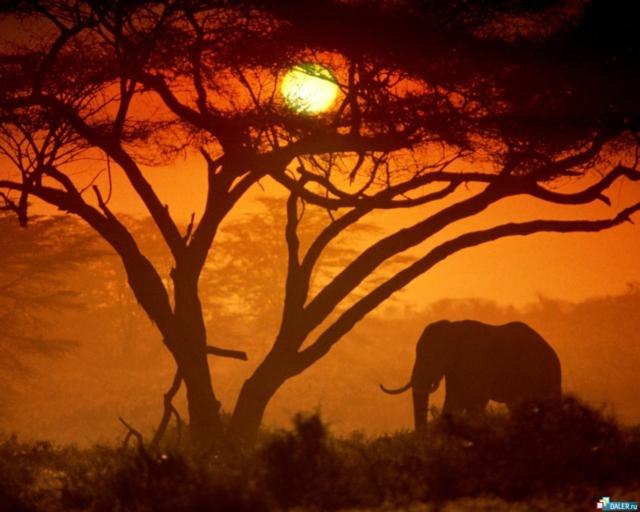 Елизавета Журавель | Днепр (Днепропетровск)